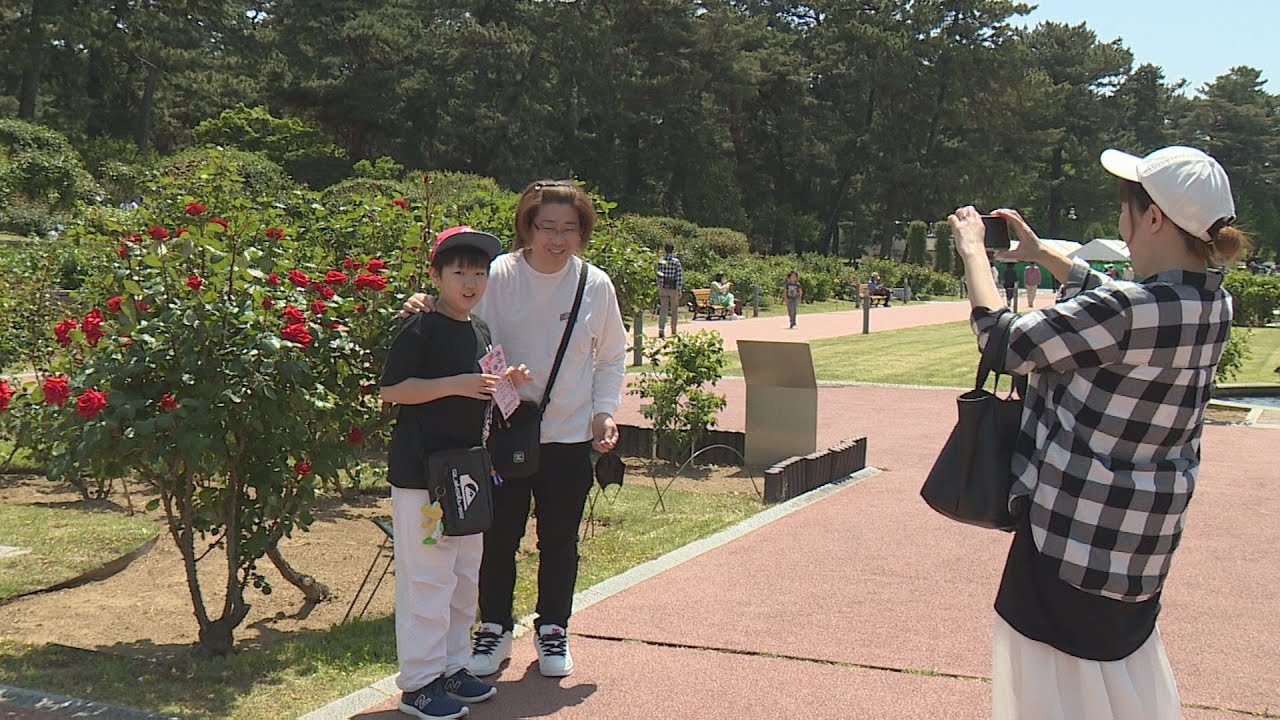 敷島公園ばら園で見ごろに合わせてイベント　群馬・前橋市　(25/05/05)