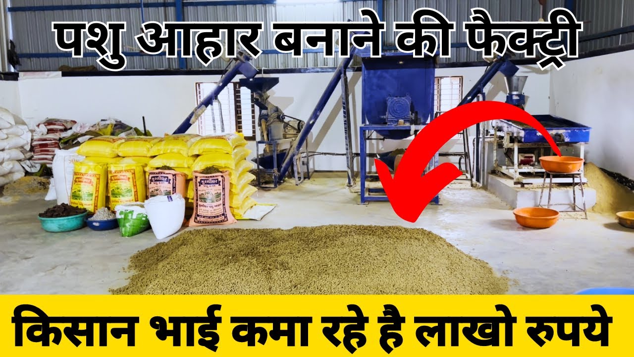 Animal Feed Pellet Machine - Cattle Feed Plant - Pashu Aahar Business - #animalfeedpelletmachine