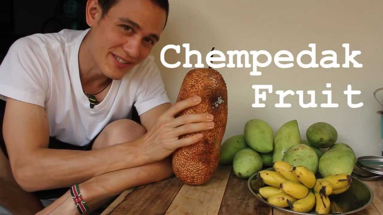 Exotic Fruit: Cempedak - A Jackfruit, But Better!