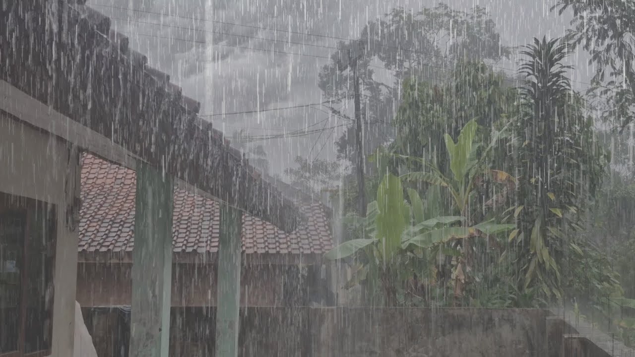 Real Rain on Village Roof .. Let Go of Overthinking Authentic Shingle Rain for Calm Mind