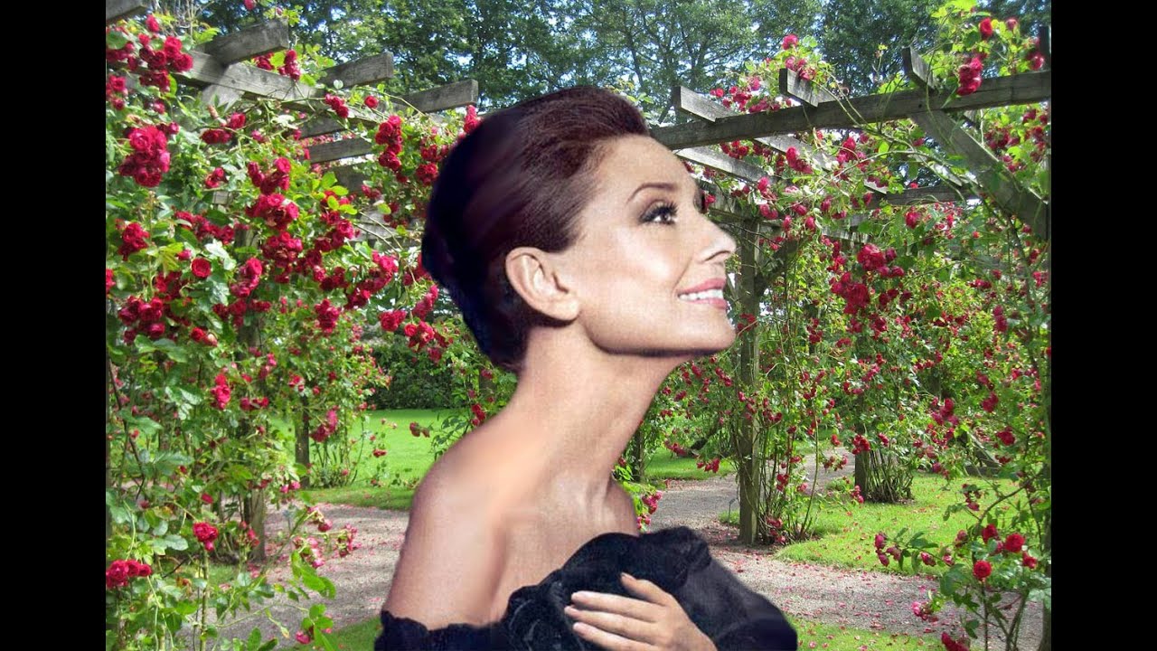 REMEMBERING AUDREY HEPBURN