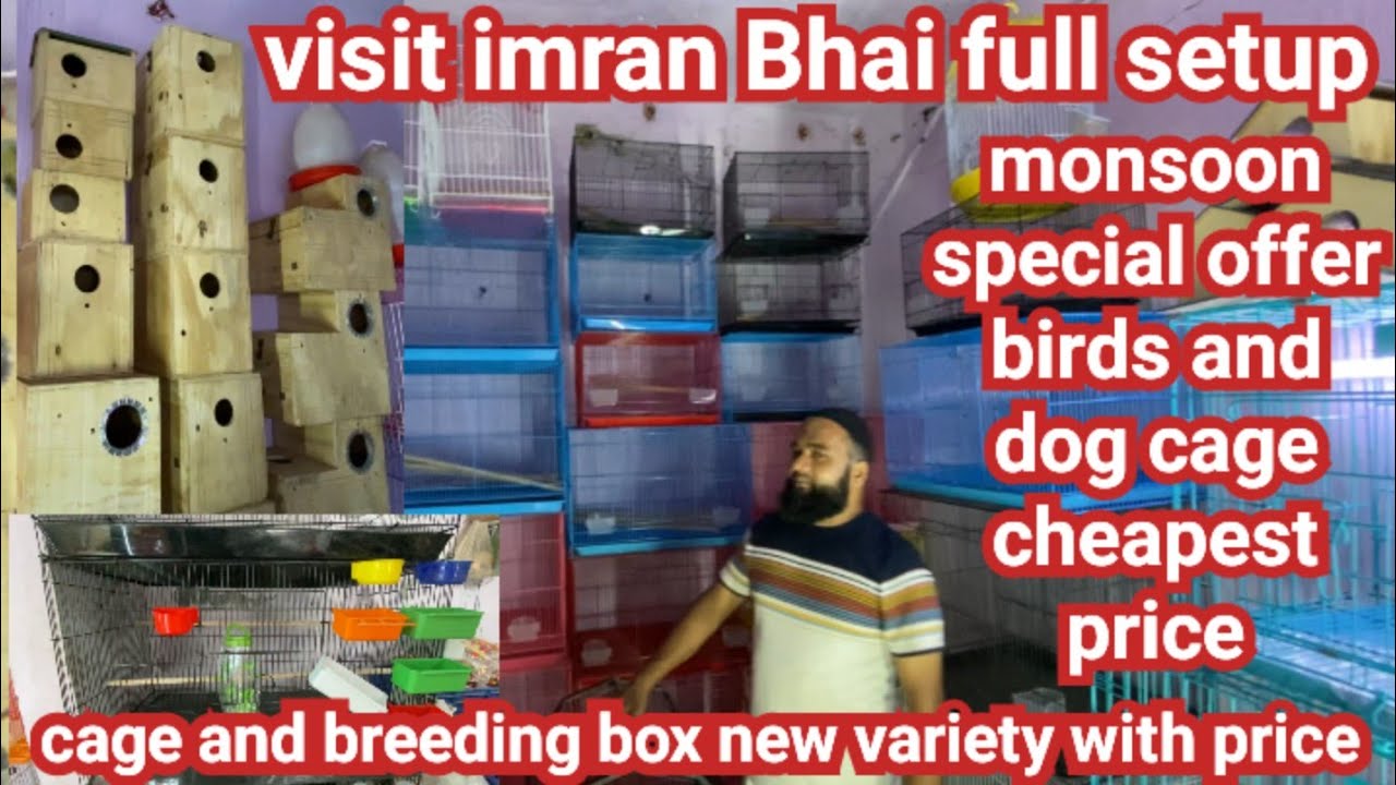 Birds imported cage price in Ahmedabad # bird breeding box price # cat,dog cage price in Ahmedabad