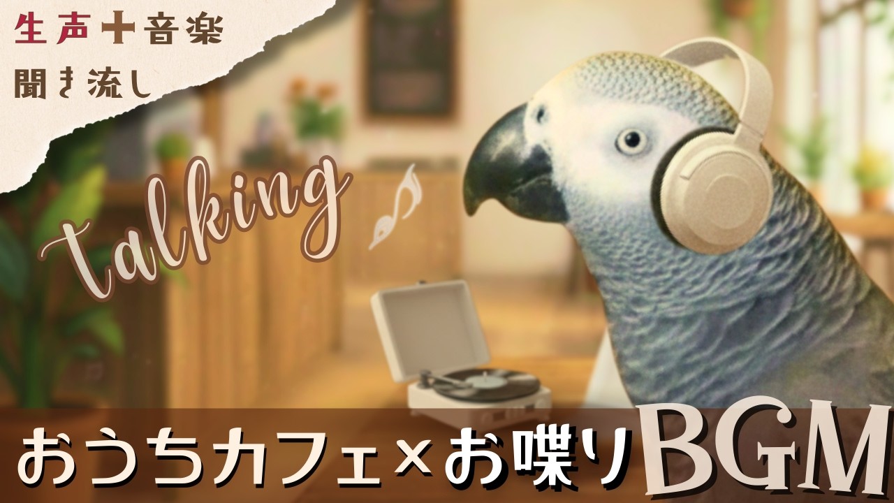 ヨウムのおしゃべりとカフェジャズ。つぶやきが心地いい40分｜Talking African Grey Parrot with Cafe Jazz
