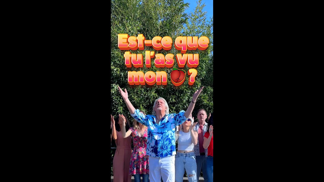 Est-ce que tu l'as vu ? - Patrick Sébastien - Olé Osé