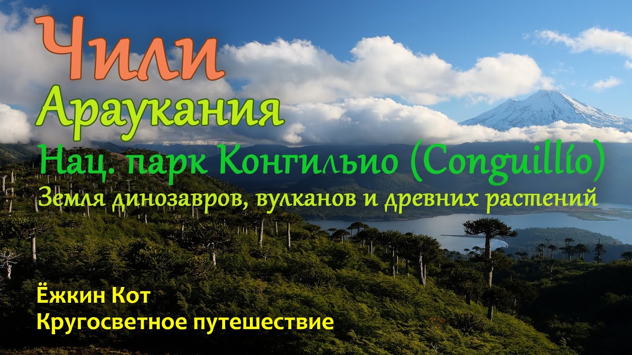 День 297. Ёжкин Кот в Чили. Араукания. Парк Конгильио. Кругосветное путешествие.