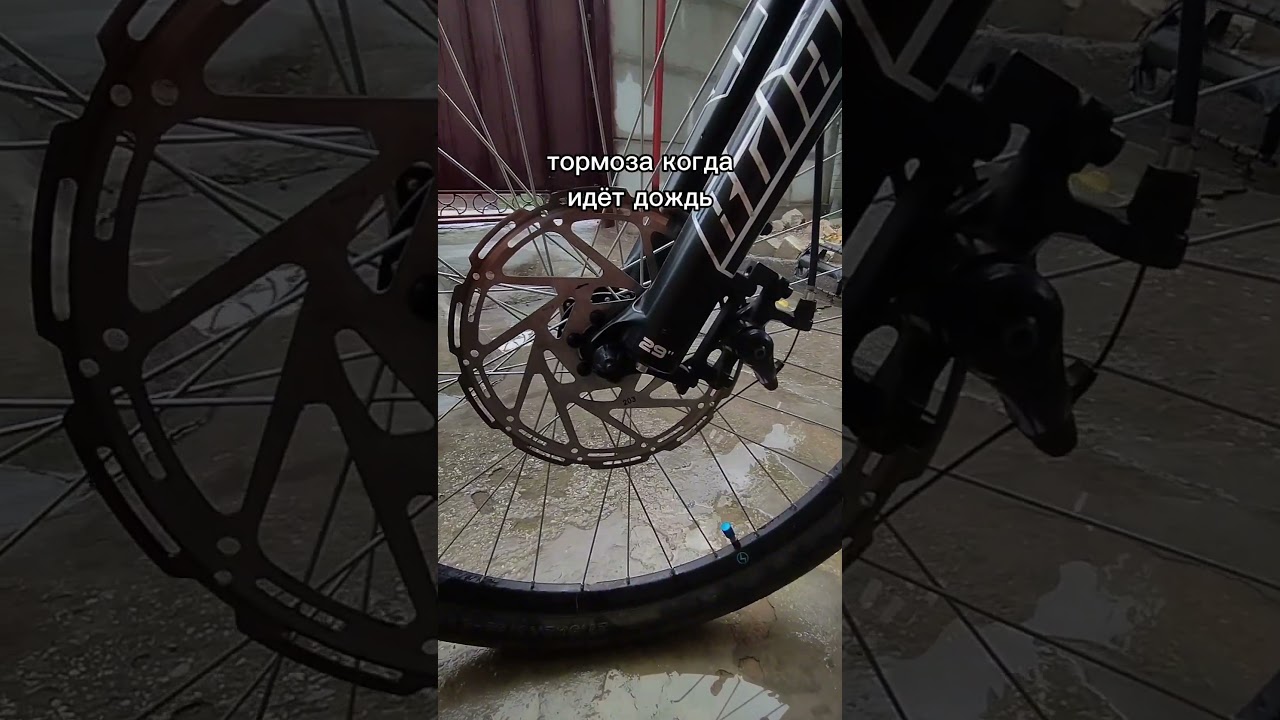 дождь #серега_пират #вилли #стант #стант #mtb #stunt #дождь #скрип #тормоза #тормоз #deore