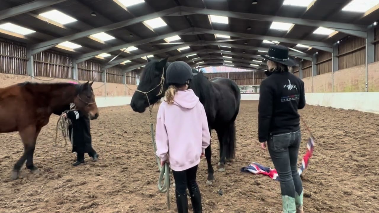 How to desensitise a horse to a scary object 