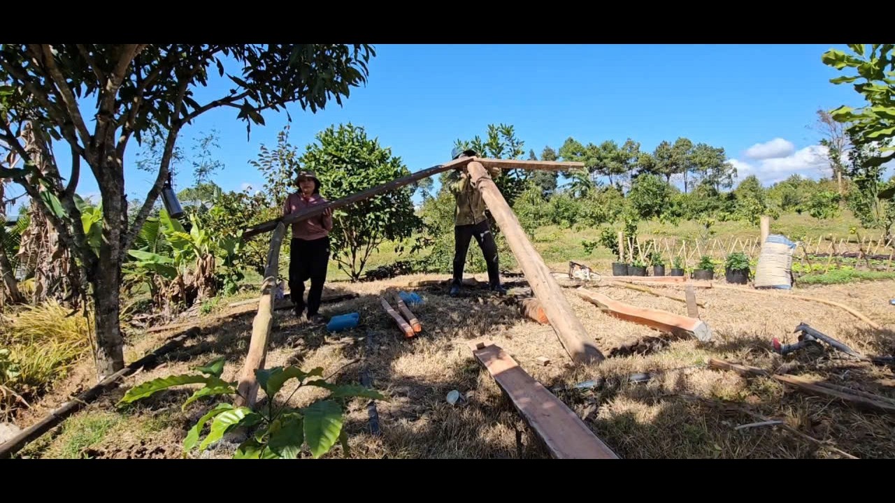 Building My Own Wooden House in the Countryside | A Simple Life in Nature