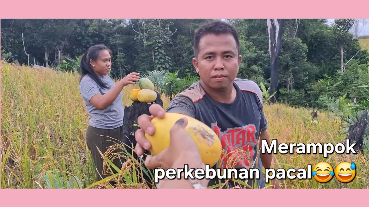 Double date cari sayur 🤭