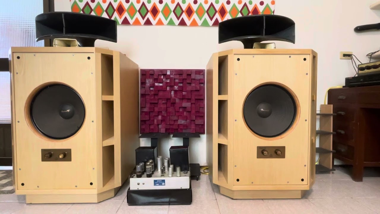 University C15W Woofer + HF-206 tweeter & WE31A Horn+Jensen V21 Driver  with University crossover