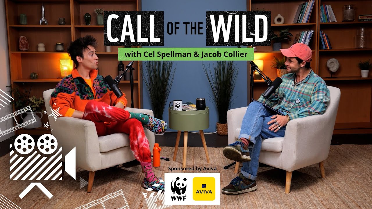 Jacob Collier on the noise of nature, being present, and climbing trees | Call of the Wild Podcast