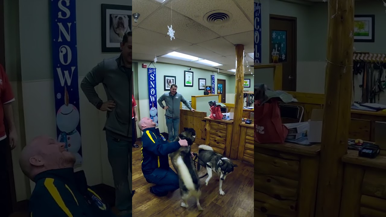 Huskies React to Seeing Owner Again