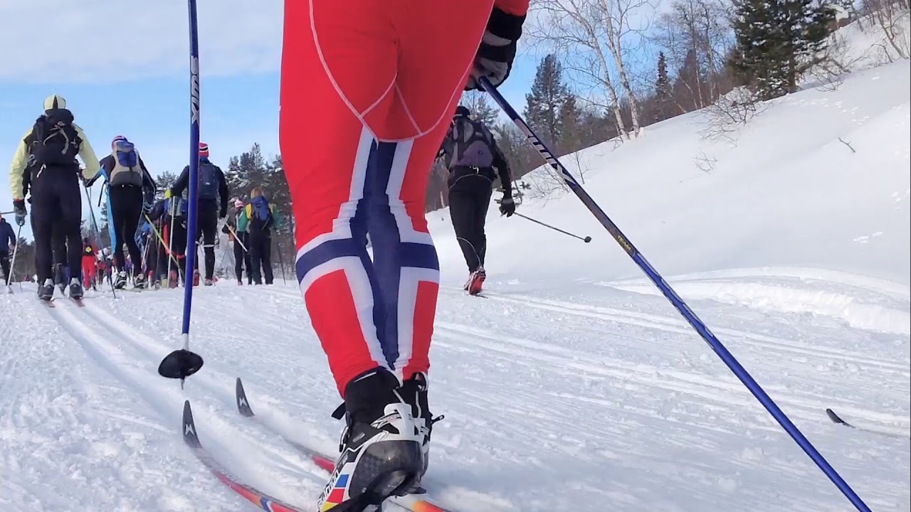 Sesil&aring;mi 2018
