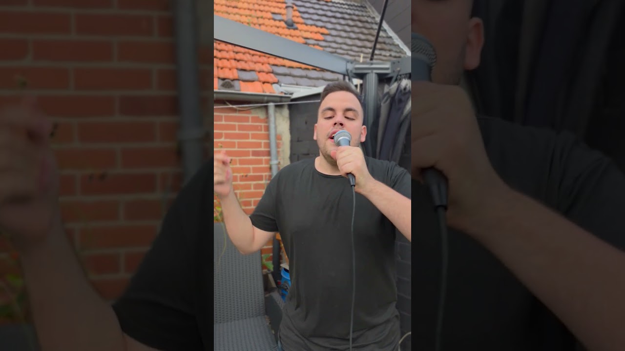 LINKIN PARK &ndash; In the End(Marlon Falter) #cover #singer #music