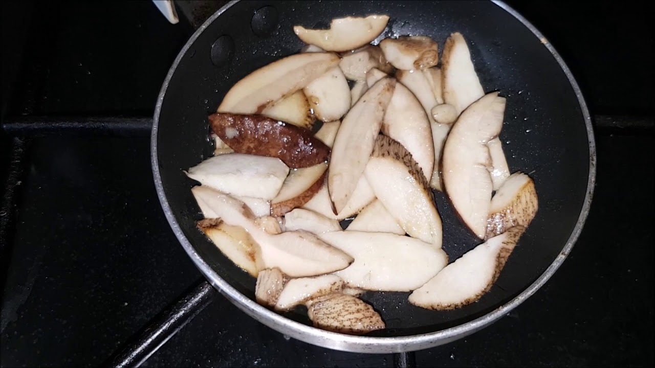 BROWN BIRCH BOLETE ID & TASTING UK
