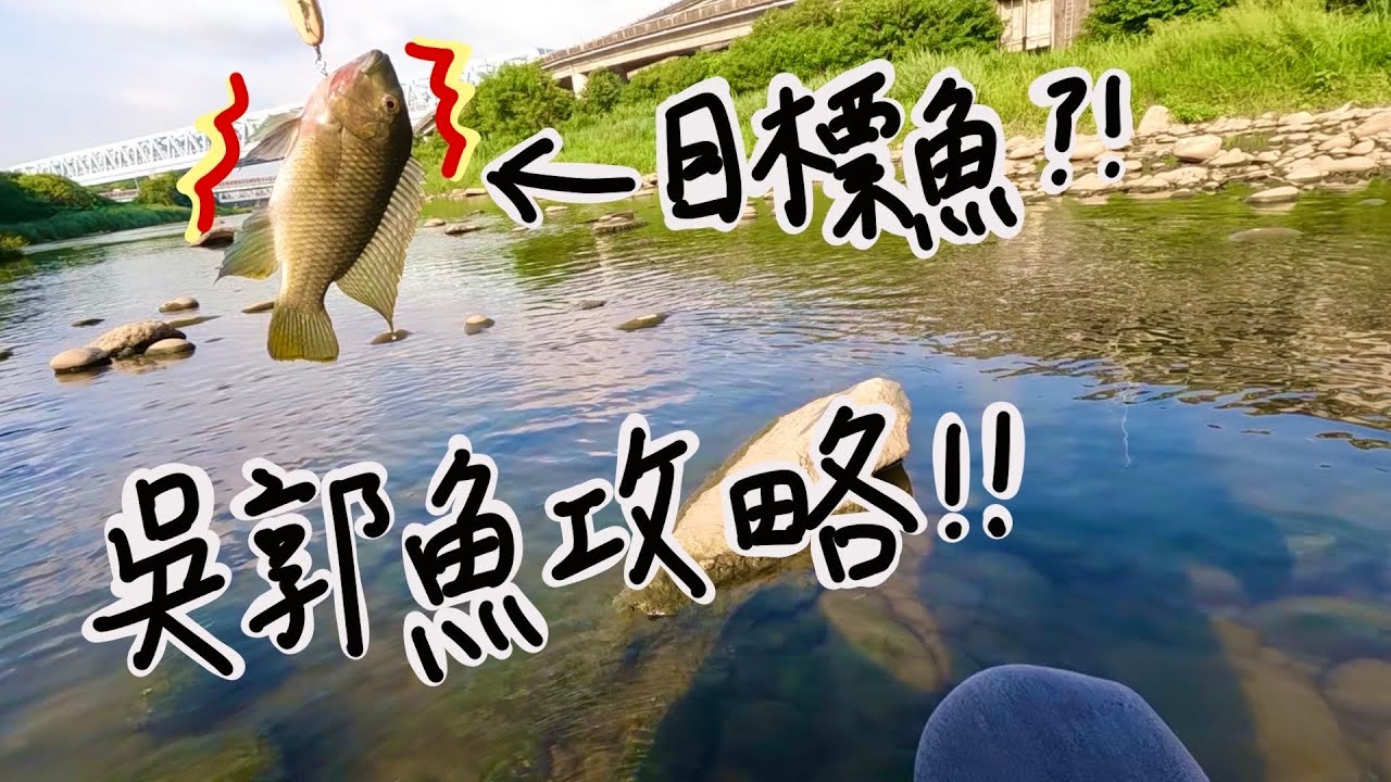 【沒有名字的釣魚頻道】吳郭魚怎麼釣？不專業攻略教學！！讓打龜遠離你🤩#路亞 #釣魚 #村長 #筏子溪 #戰車公園