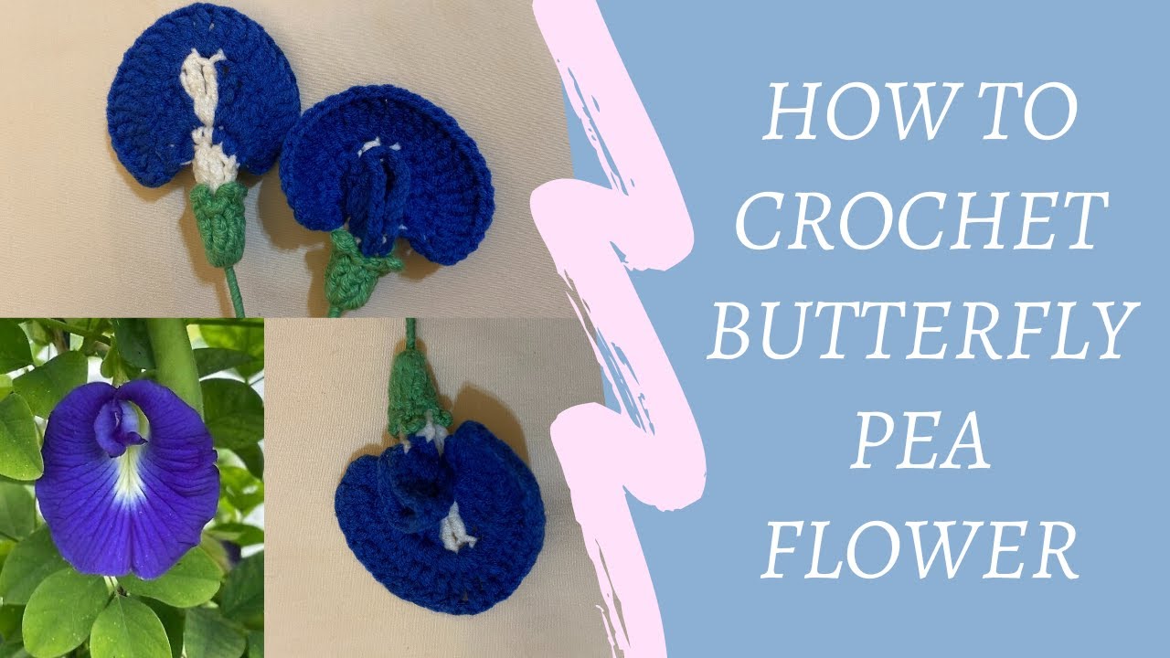 How to crochet butterfly pea flower or blue pea flower. Cách móc hoa đậu biếc.