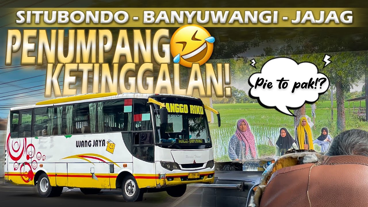 SI UJANG PRIBUMI LARE OSENG 🤩| Naik Bus Ujang Jaya Situbondo - Jajag Lewat Baluran & Watudodol!🌊🌳