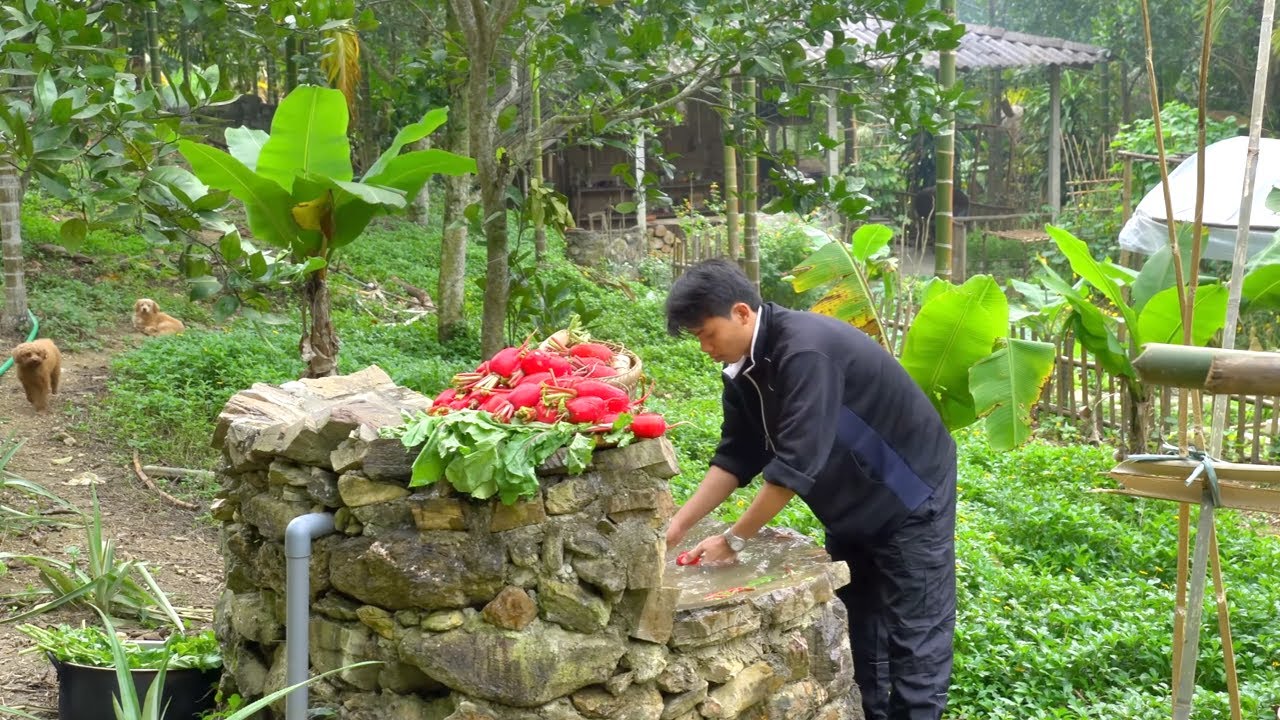 A Bountiful Radish Harvest | A Full Day of Gathering to Make Traditional Dried Radish