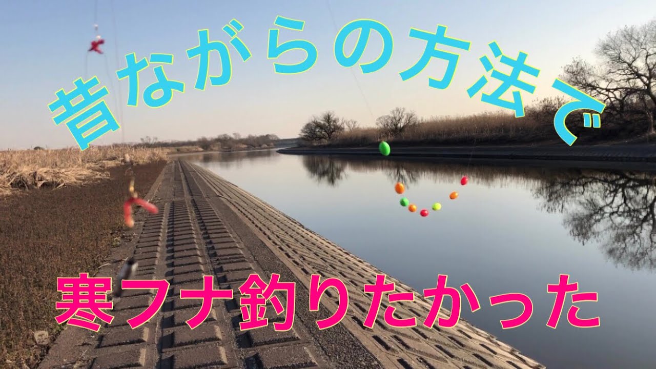マイナーな仕掛けで寒フナ釣りたいい！ところがどっこい致命的な失敗をしてました