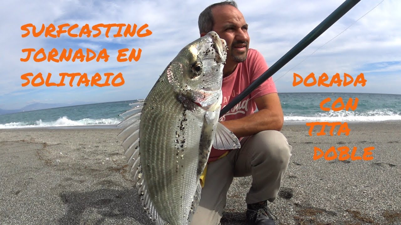 SURFCASTING, DORADA Y NUEVO MONTAJE DE TITA