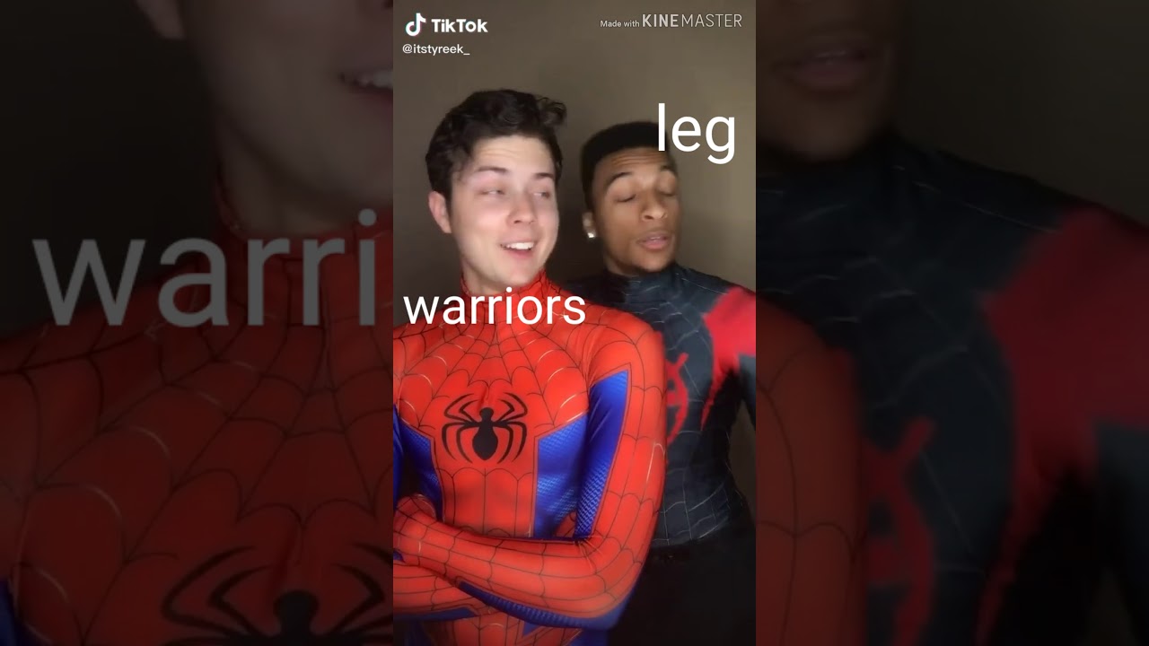 linkeduniverse tiktoks that hyrule tried to cook