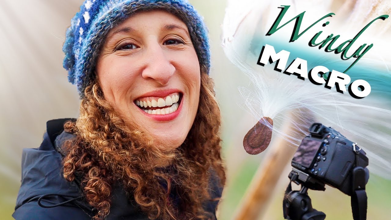 Macro Photography in Windy Conditions