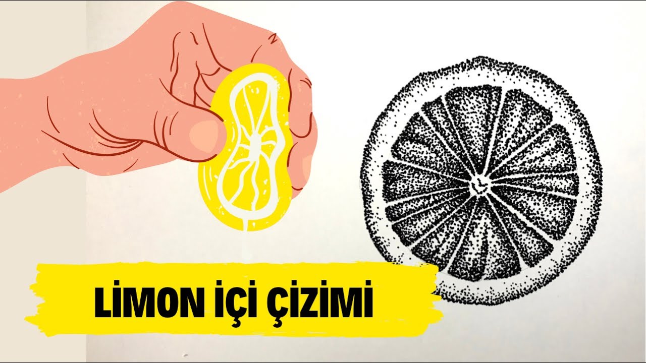 NOKTA ÇALIŞMASI 5🍋 #NOKTAÇALIŞMASI #HOWTODRAW #LİMONÇİZİMİ