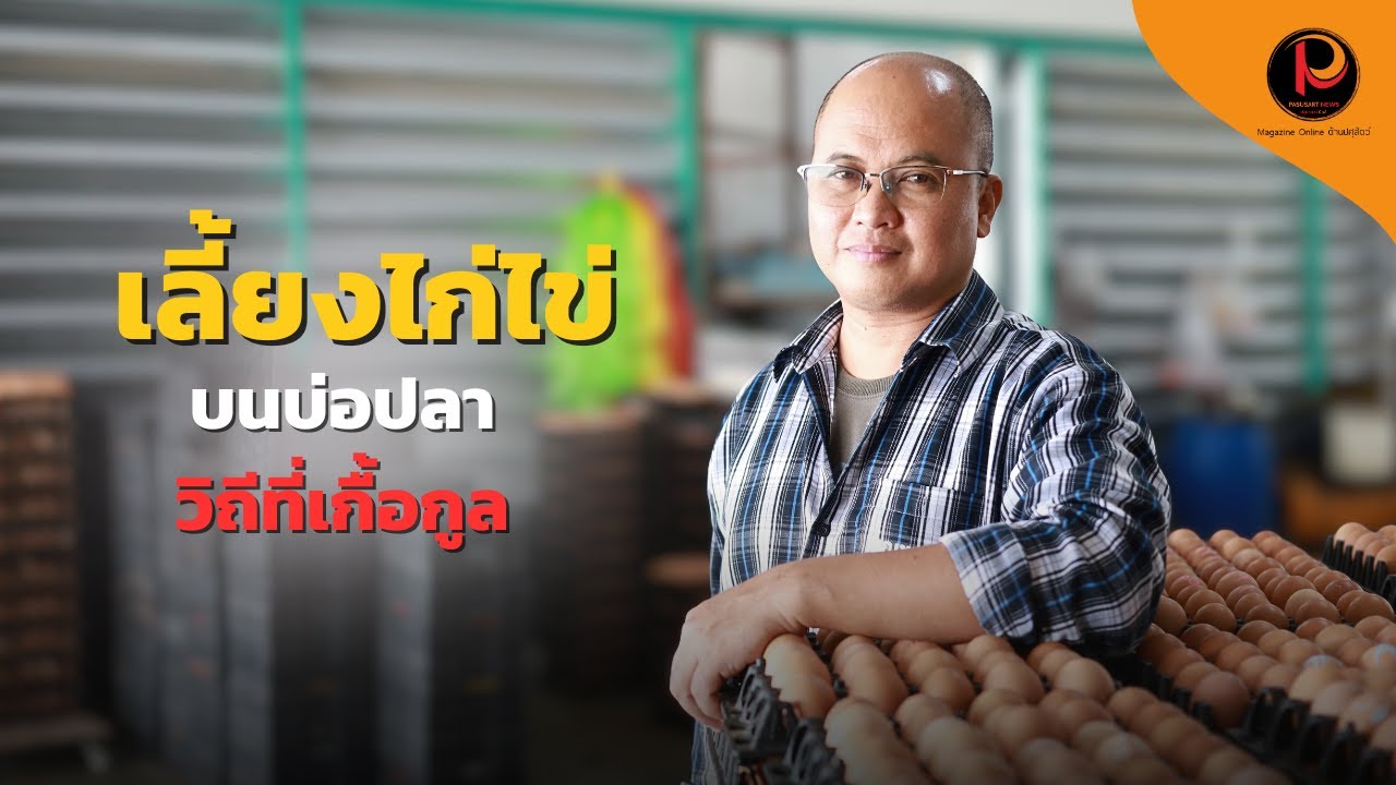 บุญชูฟาร์ม สุพรรณบุรี เลี้ยงไก่ไข่บนบ่อปลา วิถีที่เกื้อกูลทำรายได้สองทาง | ปศุศาสตร์ นิวส์