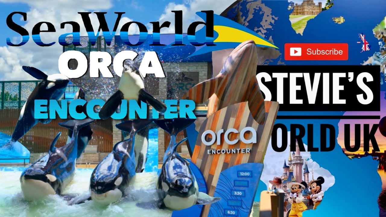 ORCA ENCOUNTER - INCREDIBLE LIVE ORCA PRESENTATION AT SEAWORLD FLORIDA