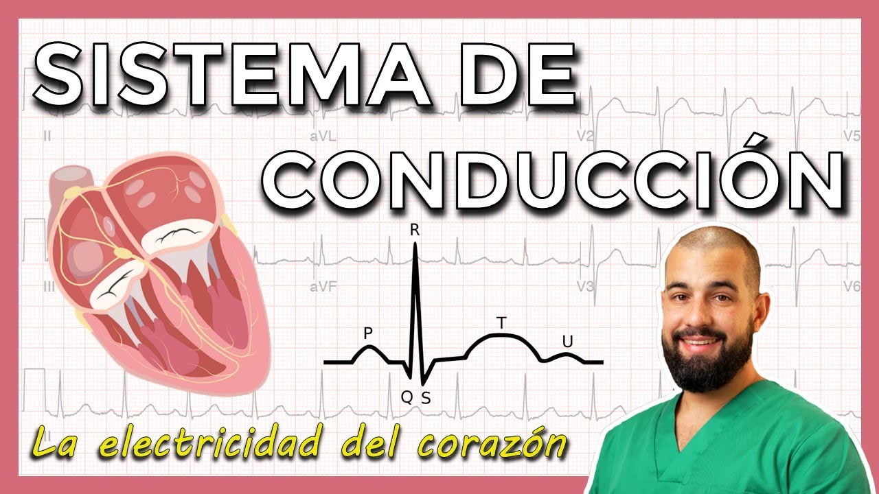 Sistema eléctrico del CORAZÓN