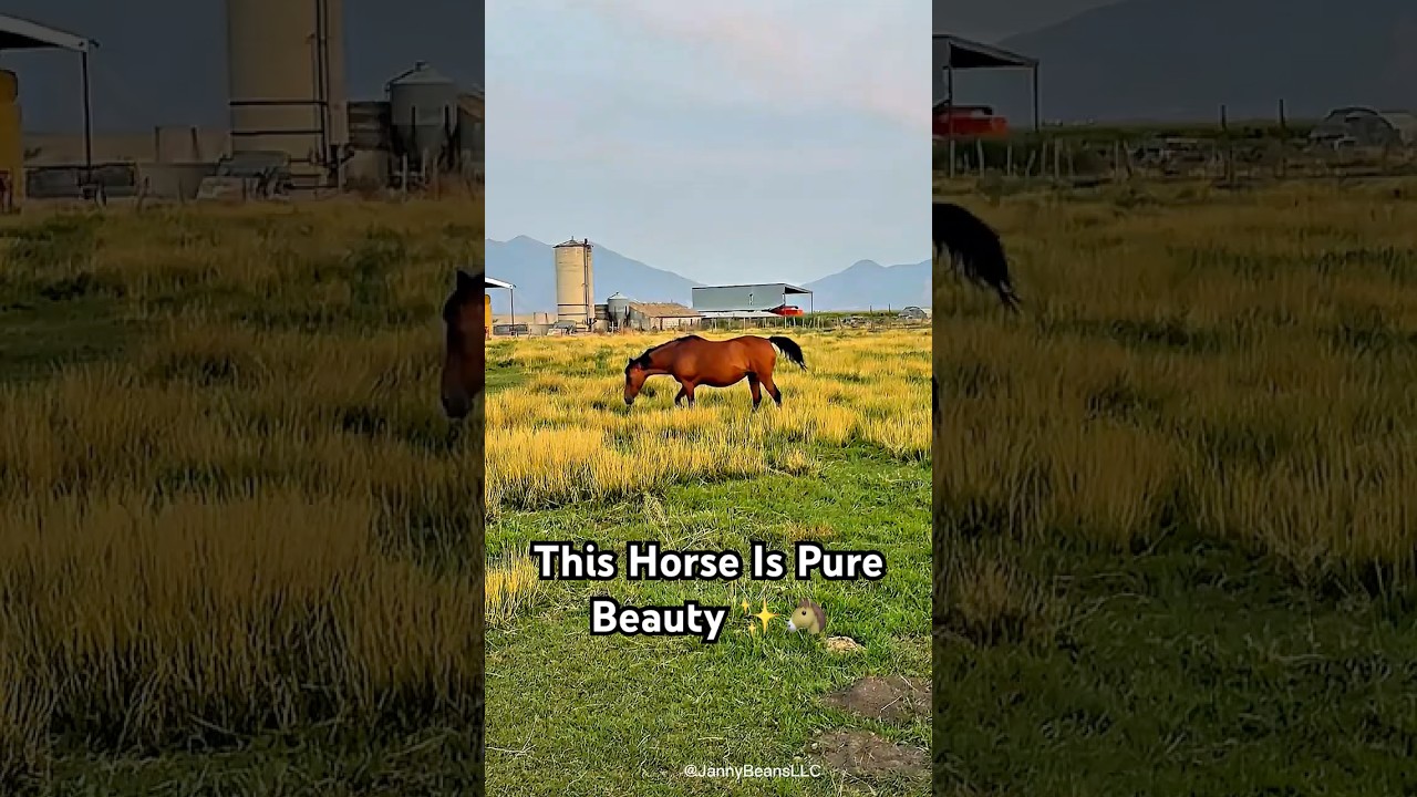 Gorgeous Red Horse Just Being Beautiful 😍