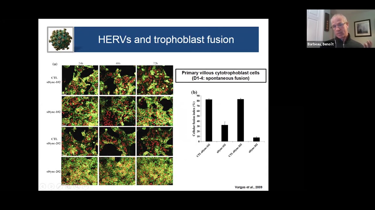 Human endogenous retrovirus envelope proteins and extracellular vesicles by Benoit Barbeau