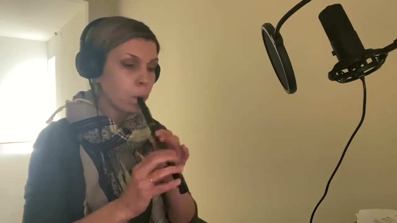 Zombie by Cranberries tin whistle cover #cranberries #zombie #TinWhistle #flute #cover