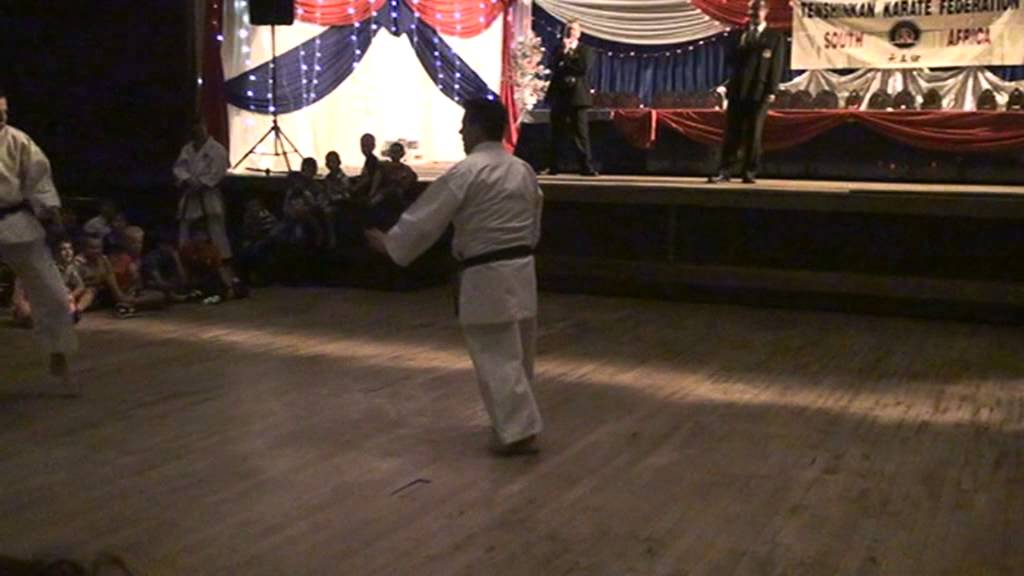 Tenshinkan South Africa 2013 year end demo
