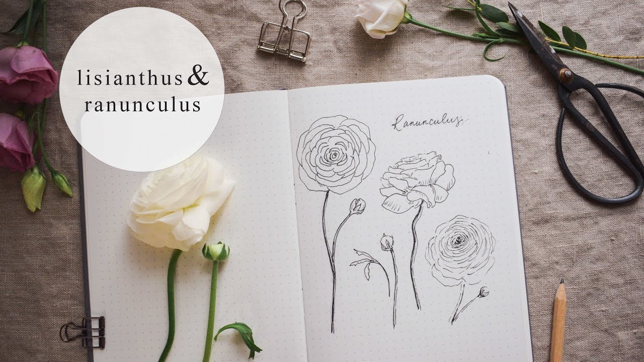 Botanical Illustration | Ranunculus + Lisianthus