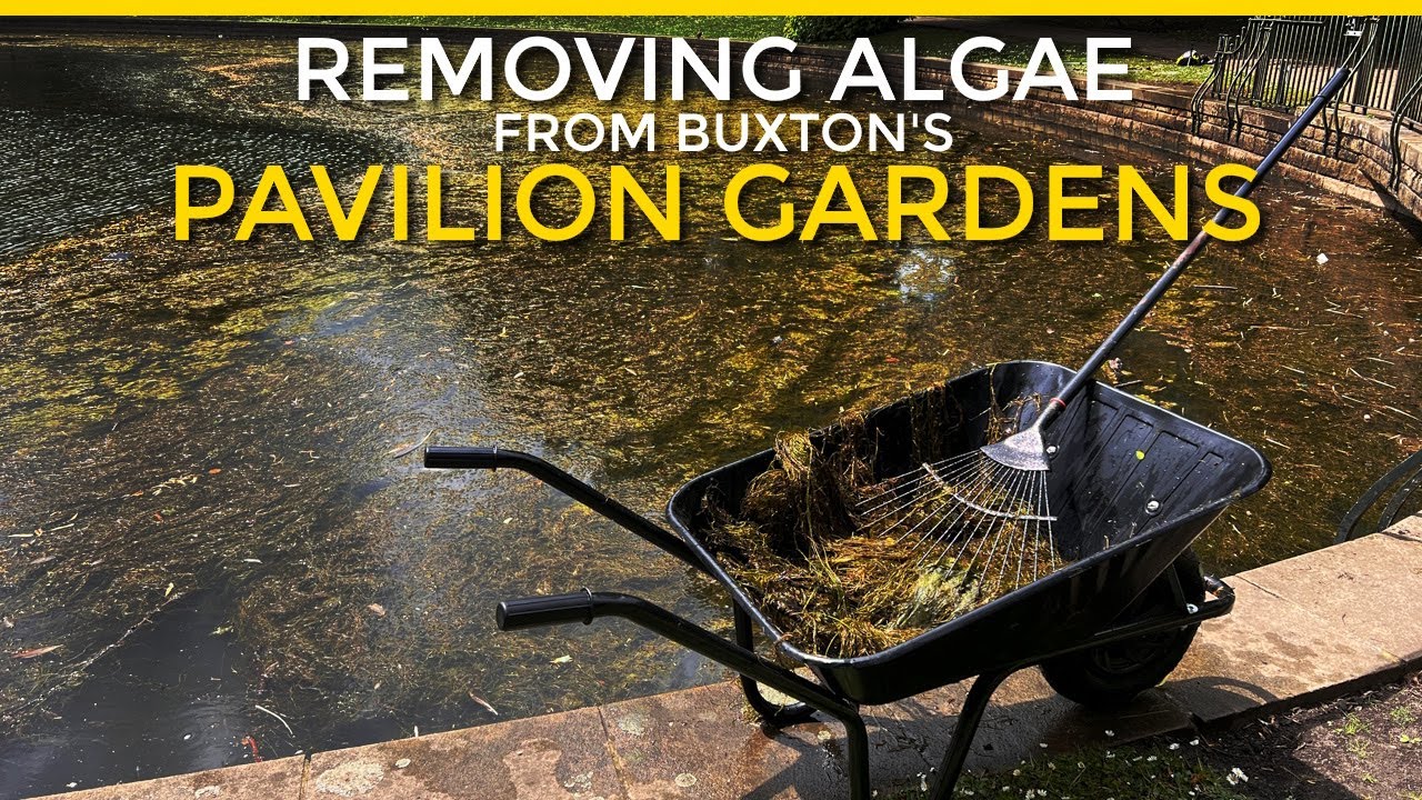 Removing Algae From Buxton's Pavilion Gardens [Timelapse]