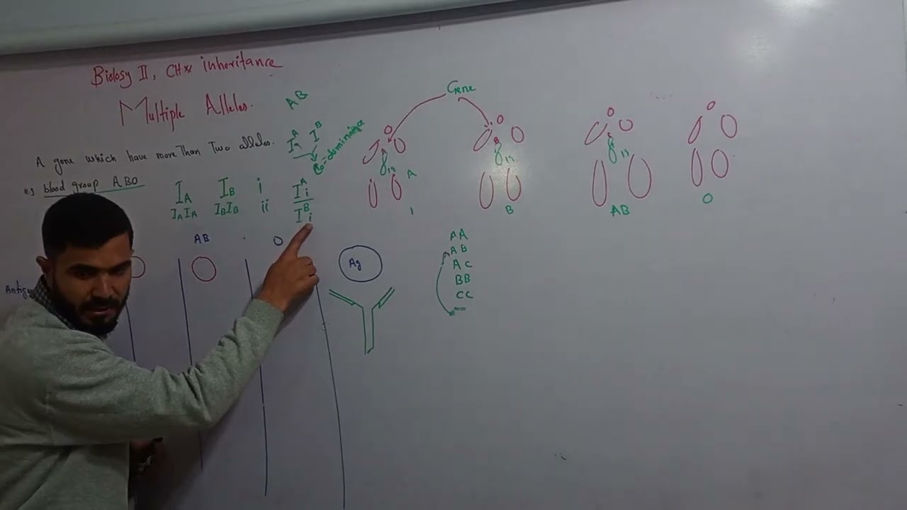 L 6 updated Multiple alleles and ABO Blood grouping
