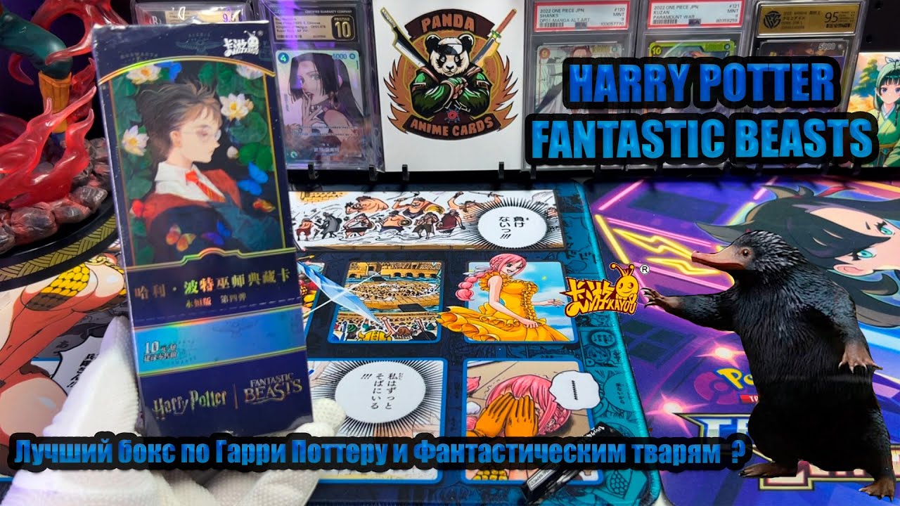 HARRY POTTERFANTASTIC BEASTS KAYOU   / ГАРРИ ПОТТЕР КАЮ/ ЛУЧШЕ БЫТЬ НЕ МОЖЕТ ?