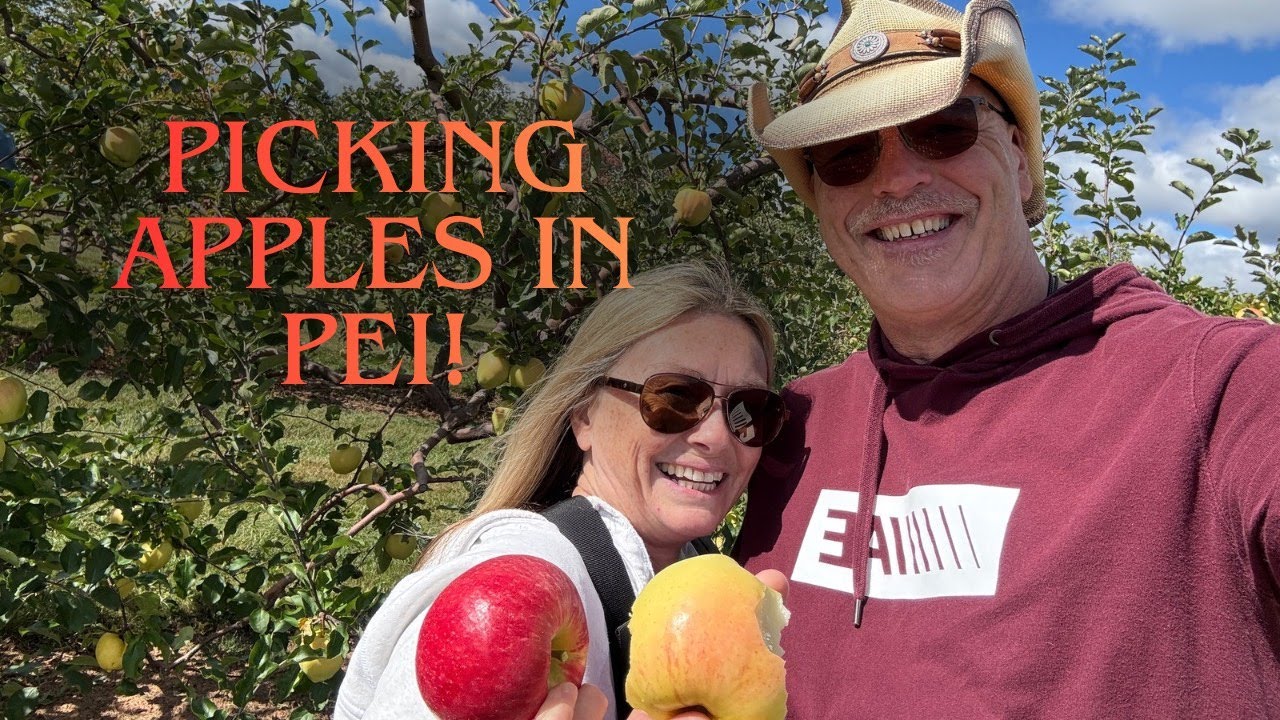 Road Trippin Continues...Picking Apples in PEI
