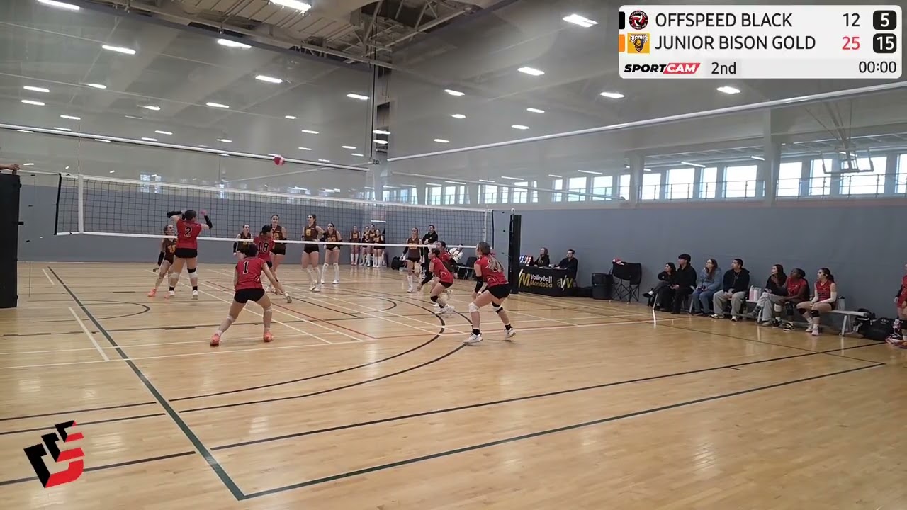 Set 2 HIGHLIGHTS