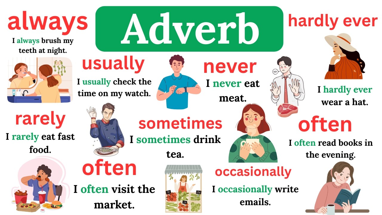 Adverbs of Frequency in English 🔑 Always, Usually, Sometimes, Never | with Examples for Beginners