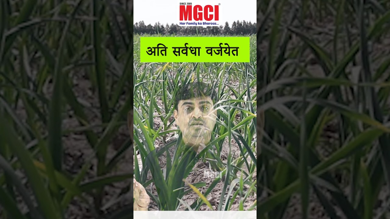 अति सर्वधा वर्जयेत.....