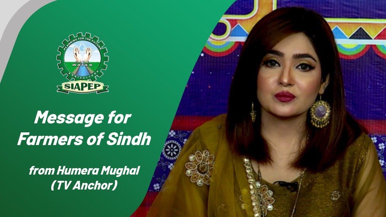 SIAPEP celebrity message for farmers of Sindh by Humera Mughal (Tv Anchor)