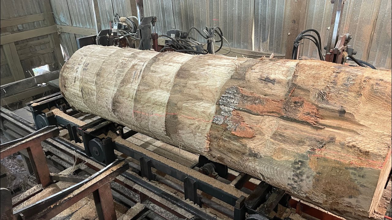 Saw-milling a 30 Inch Diameter Pin Oak! #77