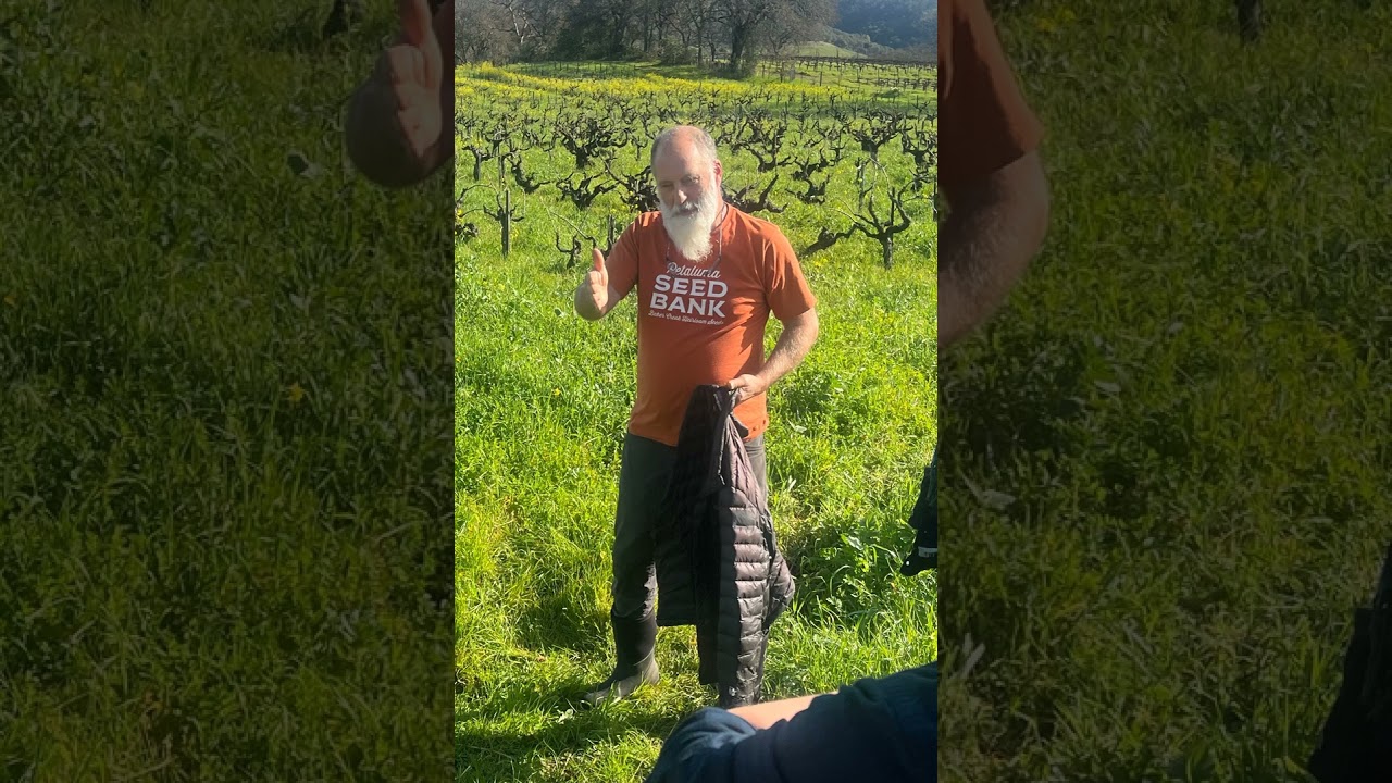 Life Doesn't Stand Still - Will Bucklin, Bucklin Old Hill Ranch