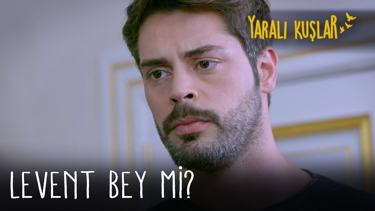 Levent Bey mi? | Yaralı Kuşlar 157. Bölüm