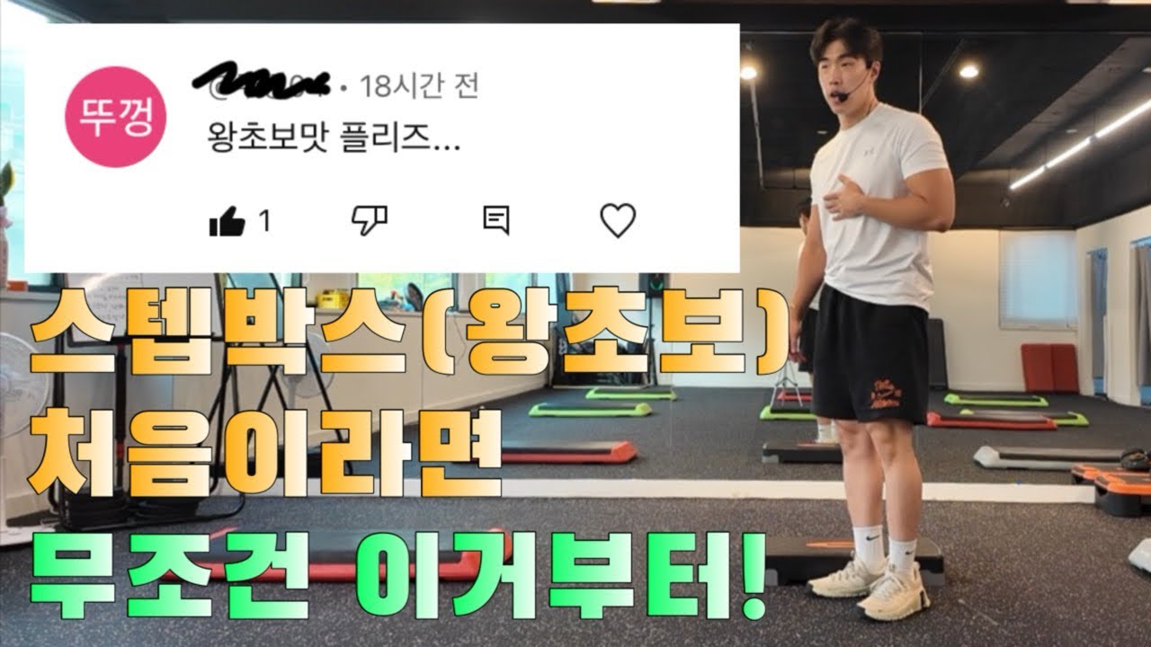 딱 12분 왕초보도 가능한 스텝박스 홈트 유산소 루틴 지금부터 시작
