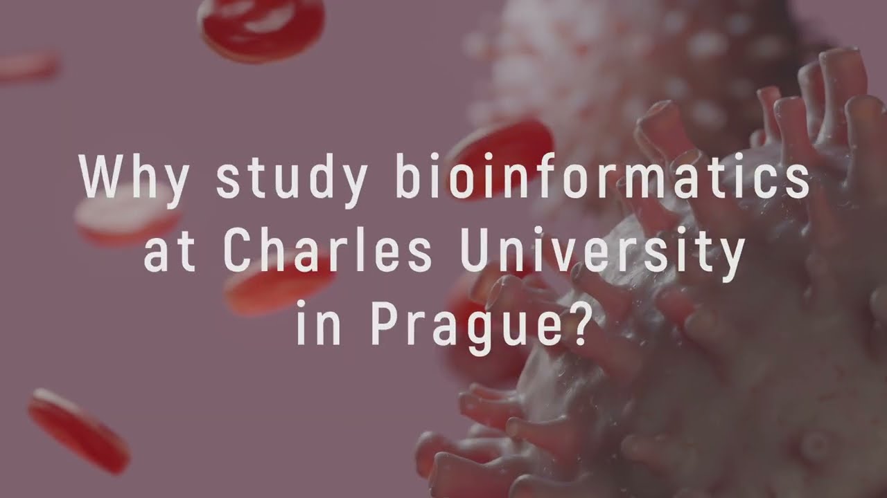 Why to study bioinformatics at Charles University - personalized medicine