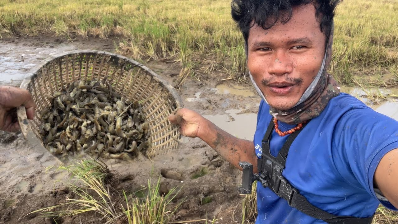 មួយកន្លែងនេះសម្បូតែកូនត្រីក្រាញ់